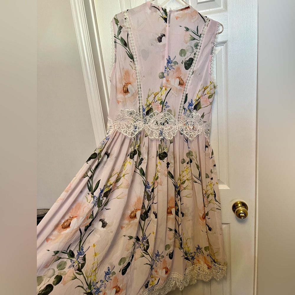 Ted Baker Carlos Floral Lace Trim midi dress Ted 4, US 10 - Picture 5 of 7